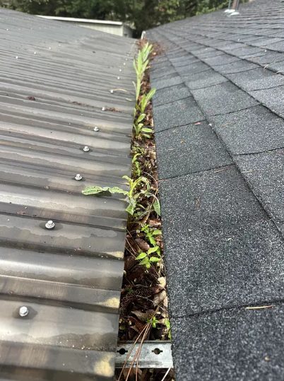 A gutter overgrown with weeds and packed with debris