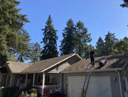 The same roof cleaned and moss-free after treatment