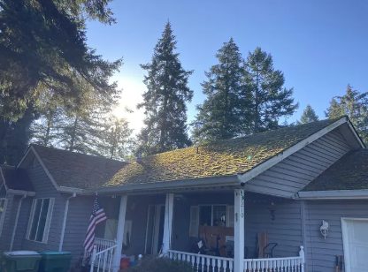 A home roof heavily covered in green moss before treatment