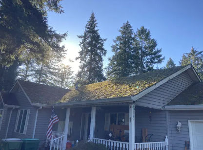 A home roof heavily covered in green moss before treatment